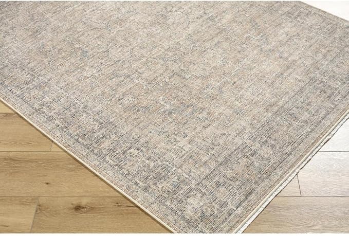 Livabliss x Galey Alix Maria Elena III Vintage Medallion Area Rug, 7'10" x 10' (8' x 10'), Brown