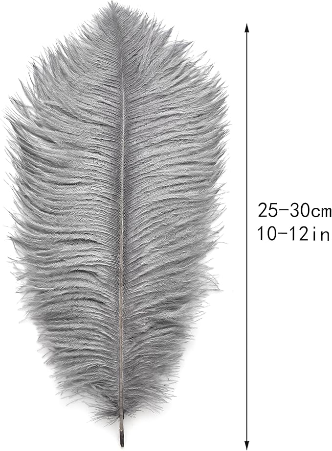 Ballinger Natural Gray Ostrich Feathers - 24pcs 10-12inch for Wedding Party Centerpieces Home Decor