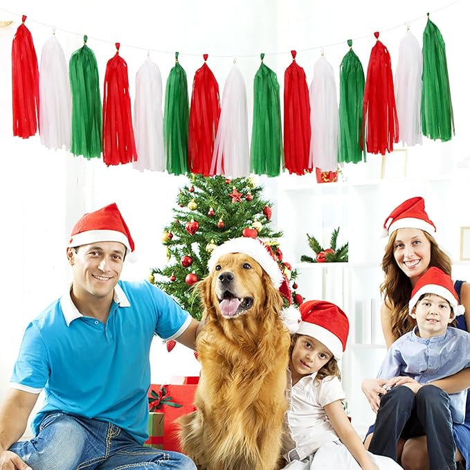 Red-Green White Christmas Party-Decorations - 33pcs Banner,Mexico Italy Streamers Tassel Garland,Tissue Pom Poms Honeycomb,Paper Lantern Fans,Mexican Italian Birthday Wedding Baby Shower Decor Hugtmr