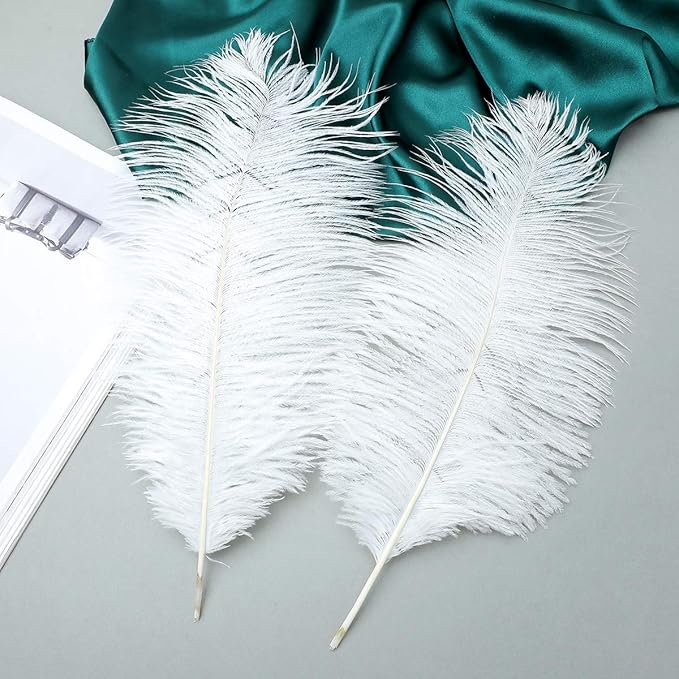 24pcs Natural White Ostrich Feathers 10-12inch (25-30cm) for Wedding Party Centerpieces，Flower Arrangement and Home Decoration.