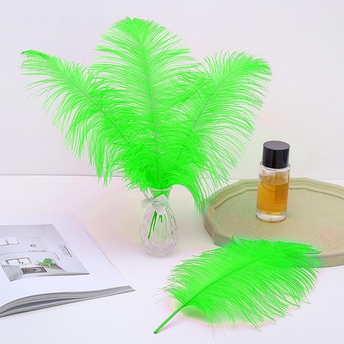 Ballinger Lime Green Ostrich Feathers - 24Pcs 12-14inch Large Green Feathers for Vase,Wedding Party Centerpieces and Holiday Home Decor