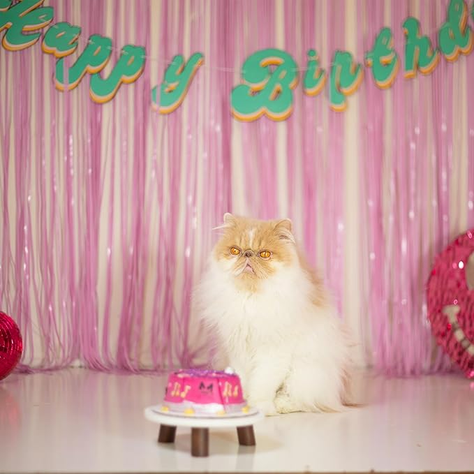 Pastel Pink Party Streamers Foil Fringe Backdrop Curtains Tinsel Streamers Birthday Party Decorations Fringe Backdrop for Birthday Valentines Gender Reveal Party Bridal Shower