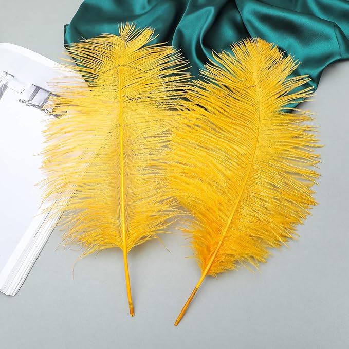24pcs Natural Luxury Gold Ostrich Feathers 10-12inch (25-30cm) for Wedding Party Centerpieces，Flower Arrangement and Home Decoration.