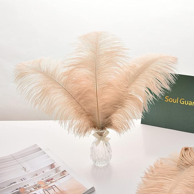 Ballinger Large Champagne Ostrich Feathers - 24pcs 8-10inch Boho Feathers for vase and Home Decor Wedding Party Centerpieces