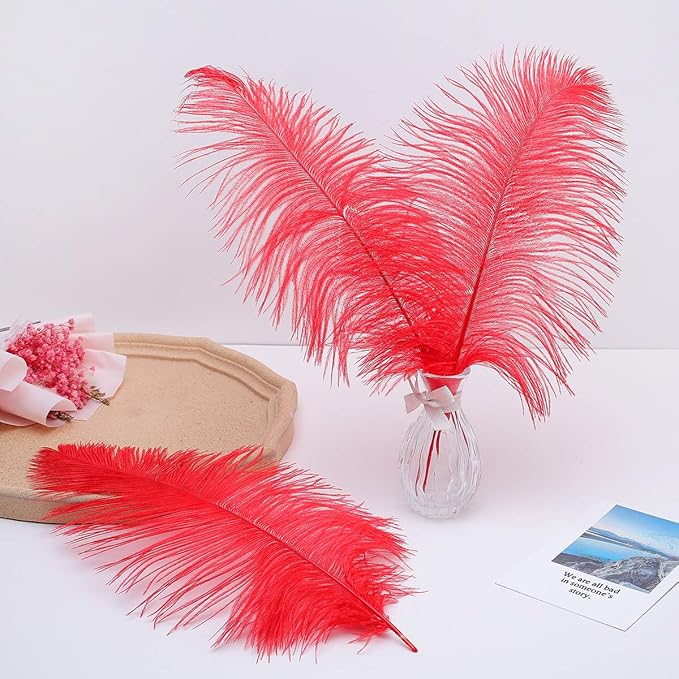 Ballinger Red Ostrich Feathers Bulk - 24Pcs 8-10inch Feathers for Crafts,Party Centerpieces,Wedding and Home Decor