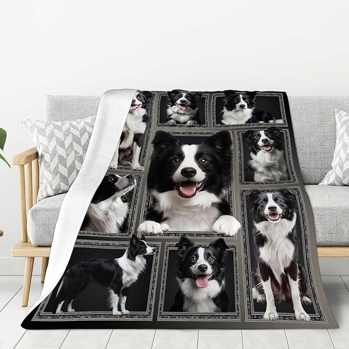 Border Collie Gifts Blanket, Dog Throw Blankets, Border Collie Gift for Boys Girls Men Women Lover Adult Cozy Fleece Flannel Bedding Stuff Animal Plush for Couch Sofa Bed Decor 60"X50"