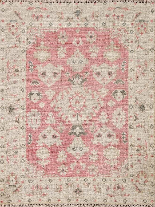 Rug Source Transitional Collection, Pink Accent Rug/Foyer Rug (3X4)
