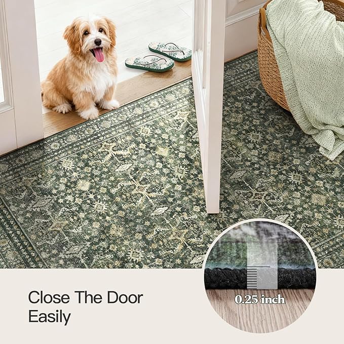 Lofus 4x6 Area Rug for Entryway, Green Non Slip Area Rugs for Kitchen, Washablee Soft Rugs for Bedroom, Living Room, Tool Room Nursery Kids Room Decor