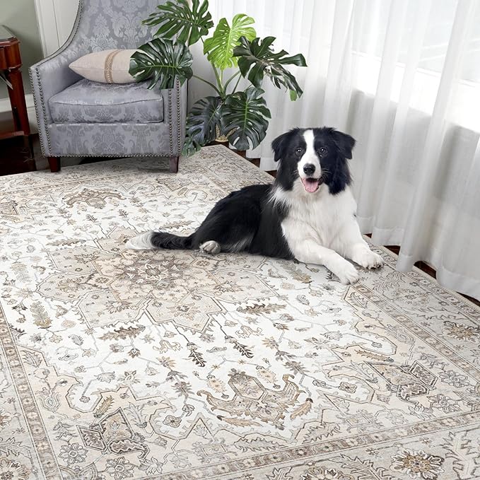 Area Rug 5x7, Machine Washable Rugs for Bedroom, Large Non Slip Persian Rug for Bedroom Living Room Kitchen Entryway Bathroom Office Carpet Brown…