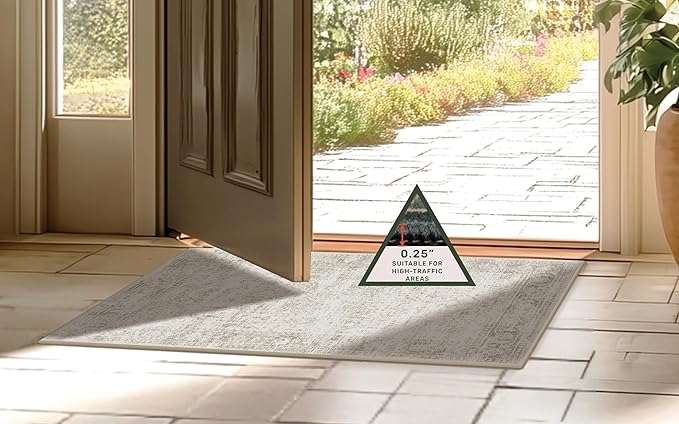 entryway Rug 2×3 Washable Kitchen Small Rugs