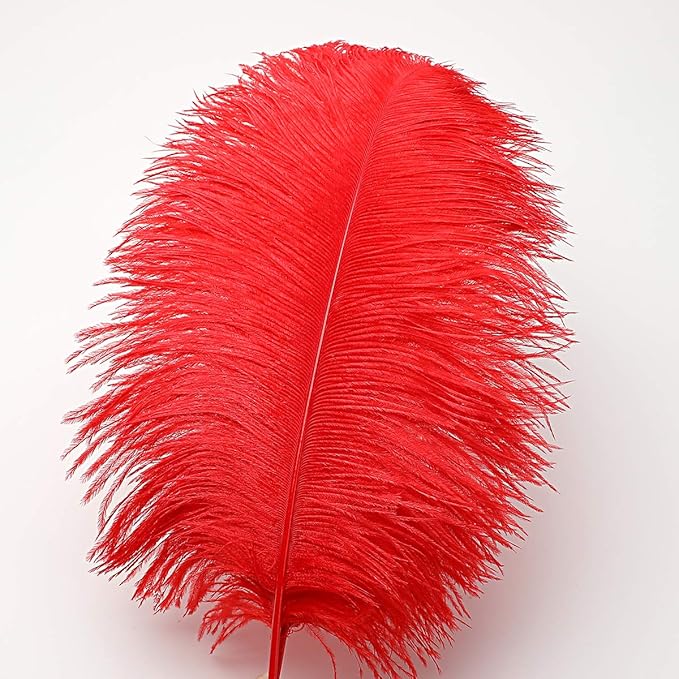 Ballinger Red Ostrich Feathers Bulk - 24Pcs 8-10inch Feathers for Crafts,Party Centerpieces,Wedding and Home Decor