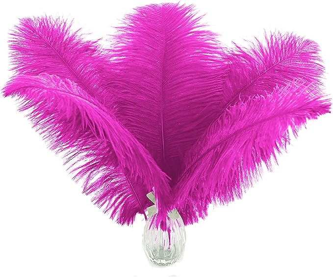 Ballinger Fuchsia Large Ostrich Feathers - 24pcs 10-12inch Craft Feathers Bulk for r Party Centerpieces, Flower Arrangement and Home Decor