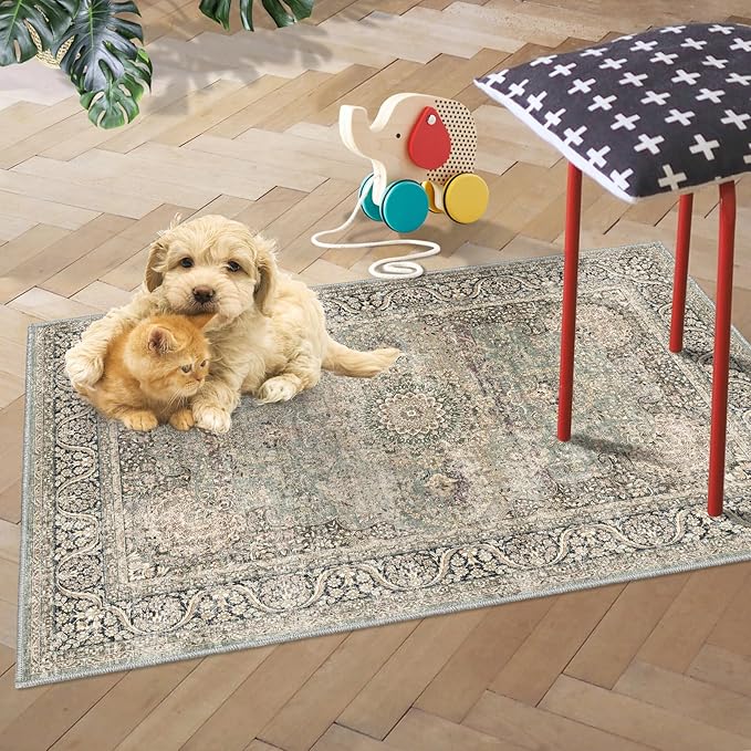 Area Rug 2x3 Distressed Small Entryway Rug Vintage Doormat Faux Wool Non-Slip Washable Low-Pile Floor Carpet for Indoor Front Entrance Kitchen Bathroom…