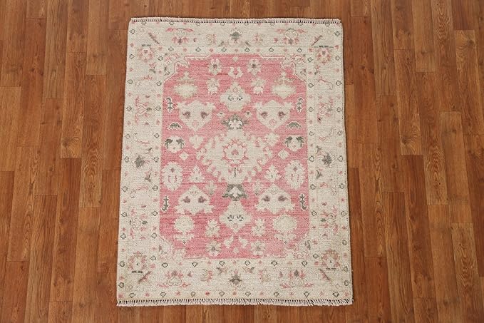 Rug Source Transitional Collection, Pink Accent Rug/Foyer Rug (3X4)