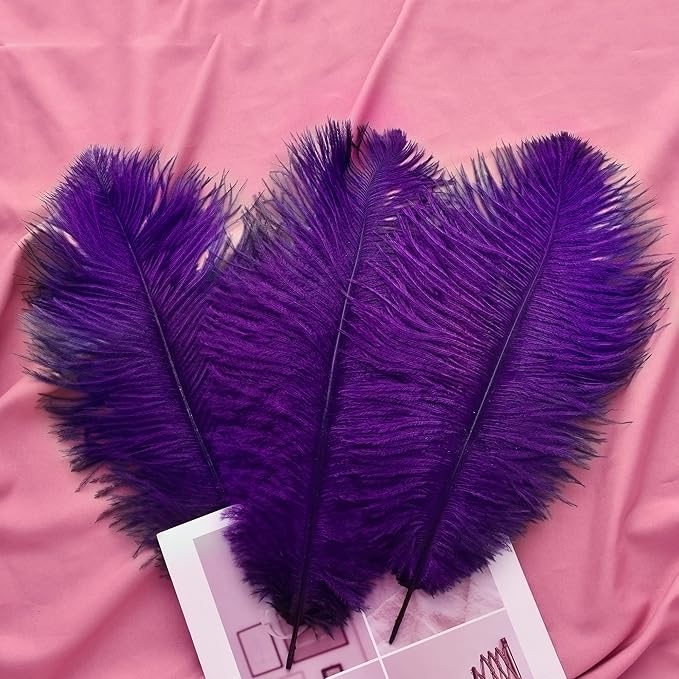 Ballinger Purple Ostrich Feathers Bulk - 24Pcs 12-14inch Big Feathers for Vase, Party Centerpieces Mardi Gras and Home Decor