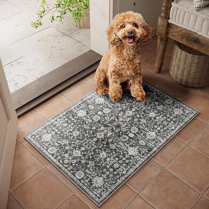 Washable 2'x3' Non Slip Rug Vintage Soft Low Pile Lightweight Boho Area Rugs for High-Traffic Areas (Entryway, Kitchen, Hallway), Farmhouse Decor