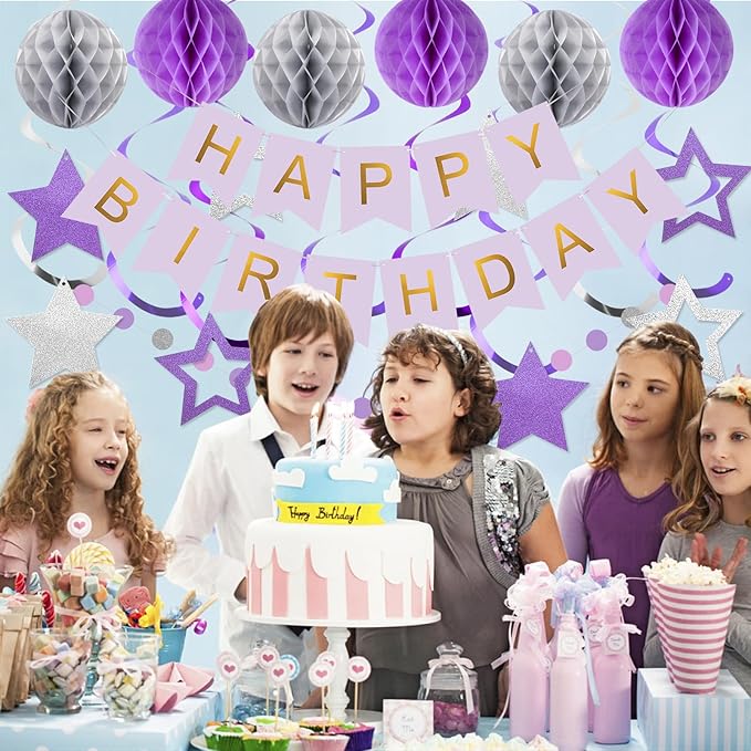 meowtastic Birthday Decorations, Happy Birthday Banner with Honeycomb Ball, Star Hanging Swirl Streamer, Circle Dot Garland, Happy Birthday Party Decoration for Women Men Boys Girls (Purple & Silver)