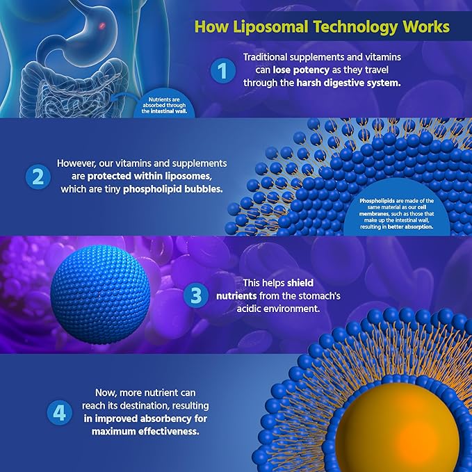 Core Med Science Liposomal Vitamin C 1000mg, 60 Capsules - Non-GMO Natural Liposomal Vitamin C Supplement That Promotes Healthy Skin - Immune System Booster for Adults, Supports Collagen Formation