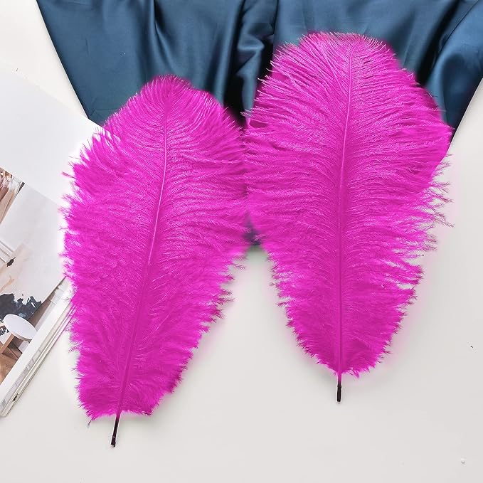 Ballinger Fuchsia Large Ostrich Feathers - 24pcs 10-12inch Craft Feathers Bulk for r Party Centerpieces, Flower Arrangement and Home Decor