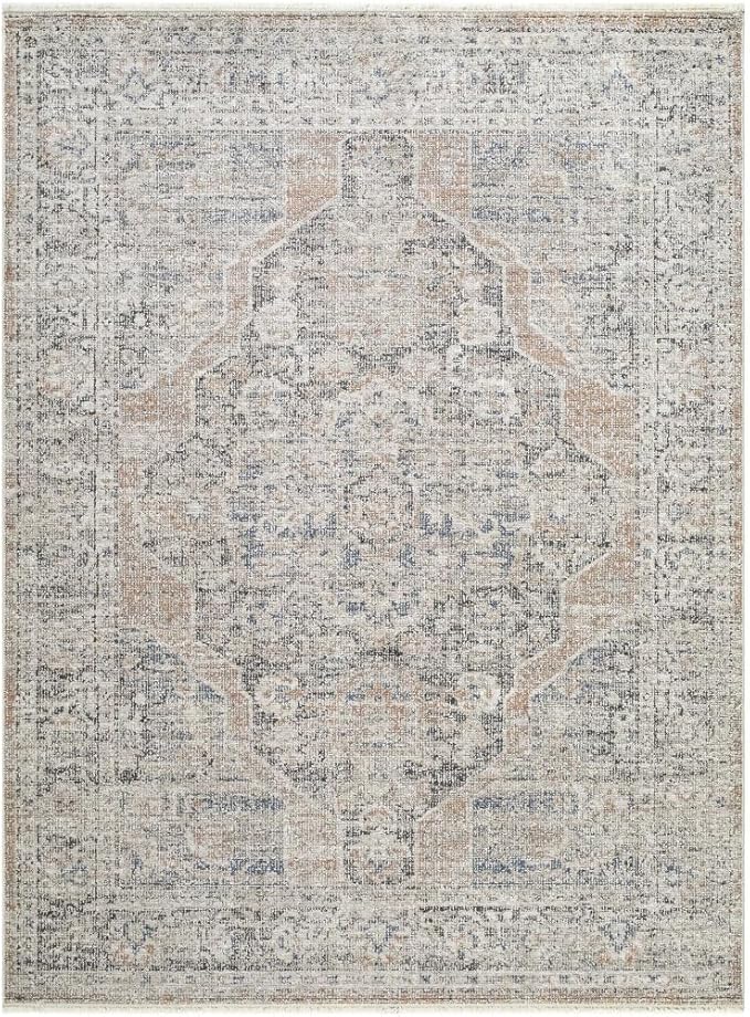 Livabliss x Galey Alix Maria Elena IV Vintage Medallion Area Rug, 5'3" x 7' (5' x 7'), Dark Brown