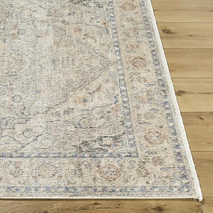 Livabliss x Galey Alix Maria Elena I Vintage Medallion Area Rug, 2'7" x 7'3" (3' x 8'), Taupe
