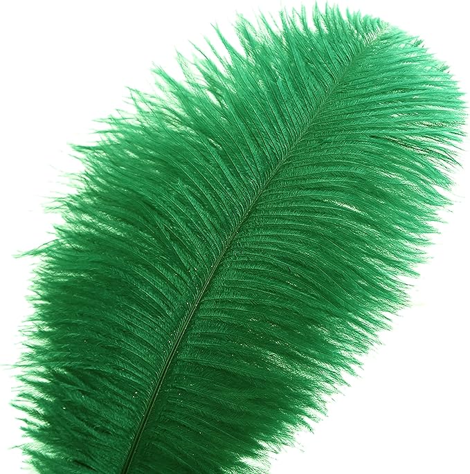 Ballinger Large Green Ostrich Feathers - 24pcs 12-14inch Long Feathers for Vase, Wedding Party Centerpieces Mardi Gras Decorations and Home Decor…