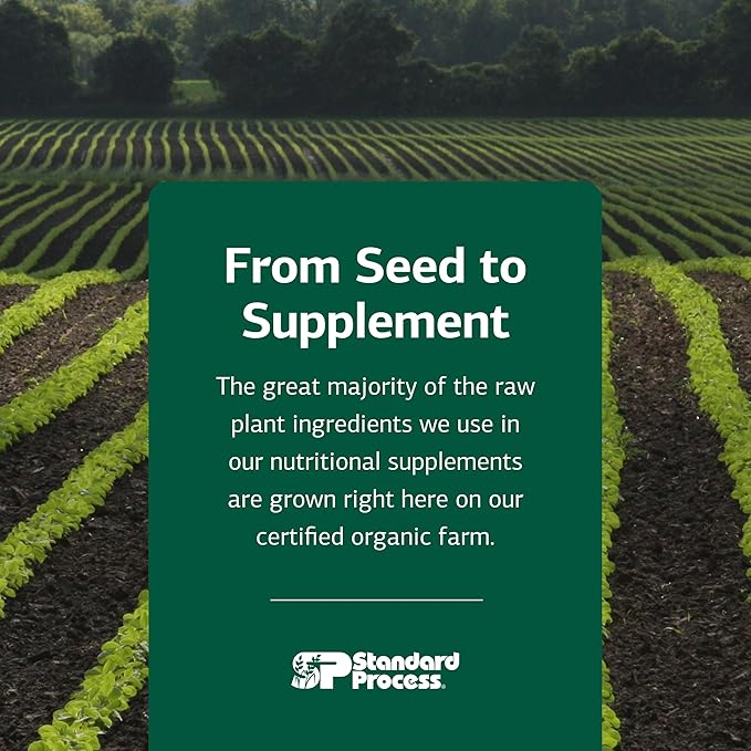 Standard Process C Synergy - Supplement to Support Connective Tissue Health - Whole Food-Based Supplement to Aid Immune Health - Connective Tissue Support with Vitamin C & Buckwheat Flour - 90 Tablets