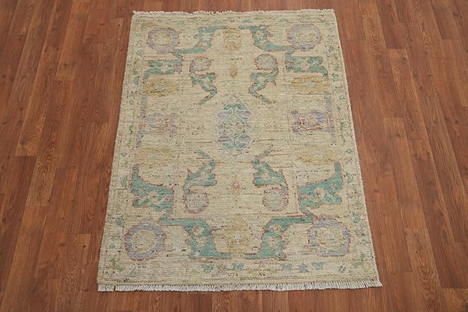 Rug Source Transitional Collection, Beige Accent Rug/Foyer Rug, Oushak Turkish Rugs (3X4)