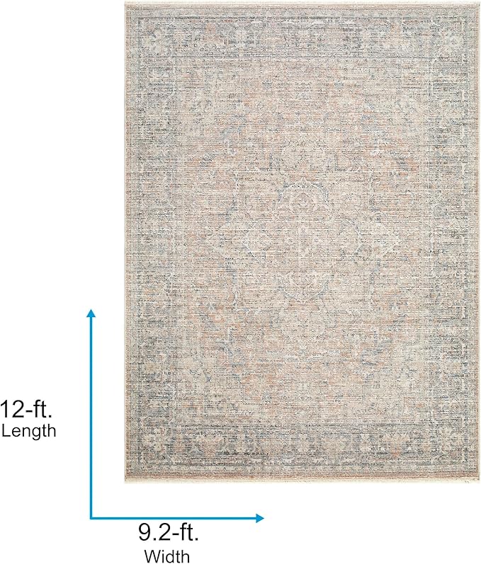 Livabliss x Galey Alix Maria Elena III Vintage Medallion Area Rug, 9'2" x 12' (9' x 12'), Brown