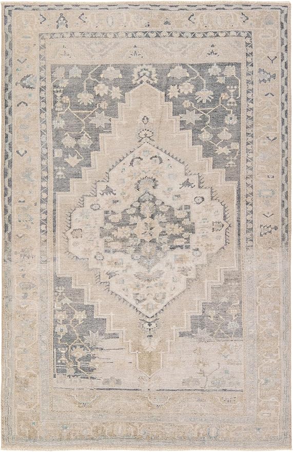 Jaipur Living Machine Washable, Vintage 9x12 Large Area Rug, Boho, Navy and Light Green, Living Room Rug, Bedroom Rug