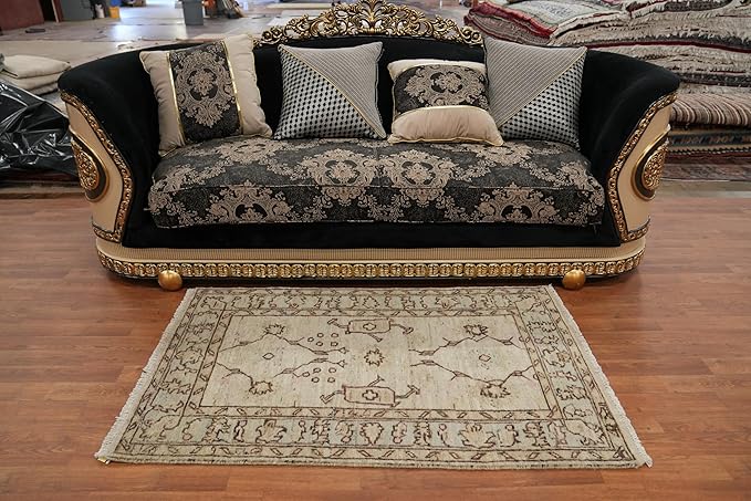 Rug Source Transitional Collection, Beige Accent Rug/Foyer Rug, Oushak Turkish Rugs (3X5)