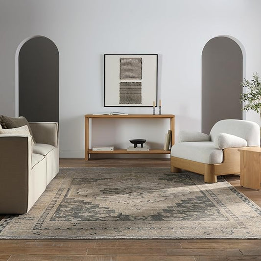 Jaipur Living Machine Washable, Vintage 9x12 Large Area Rug, Boho, Navy and Light Green, Living Room Rug, Bedroom Rug