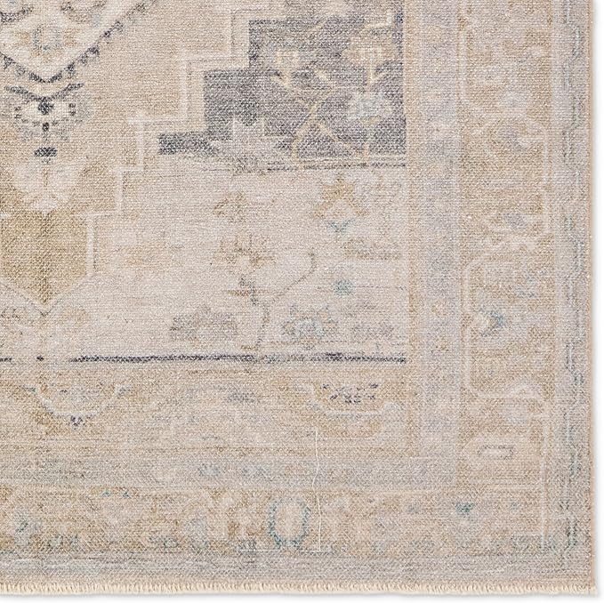 Jaipur Living Machine Washable, Vintage 9x12 Large Area Rug, Boho, Navy and Light Green, Living Room Rug, Bedroom Rug