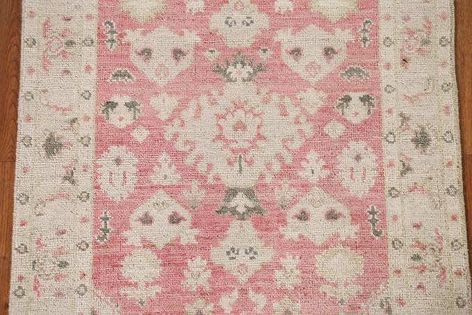 Rug Source Transitional Collection, Pink Accent Rug/Foyer Rug (3X4)