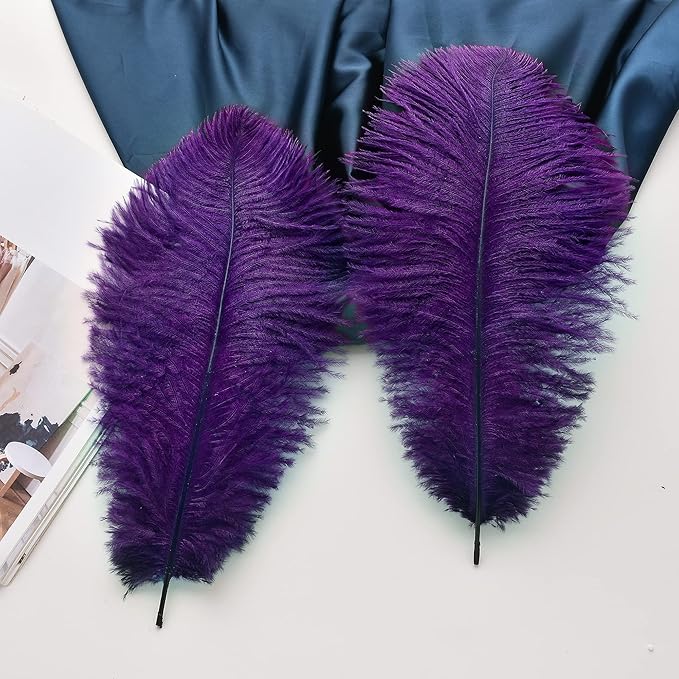 Ballinger Purple Ostrich Feathers Bulk - 24Pcs 8-10inch Feathers for Vase, Party Centerpieces Mardi Gras and Home Decor