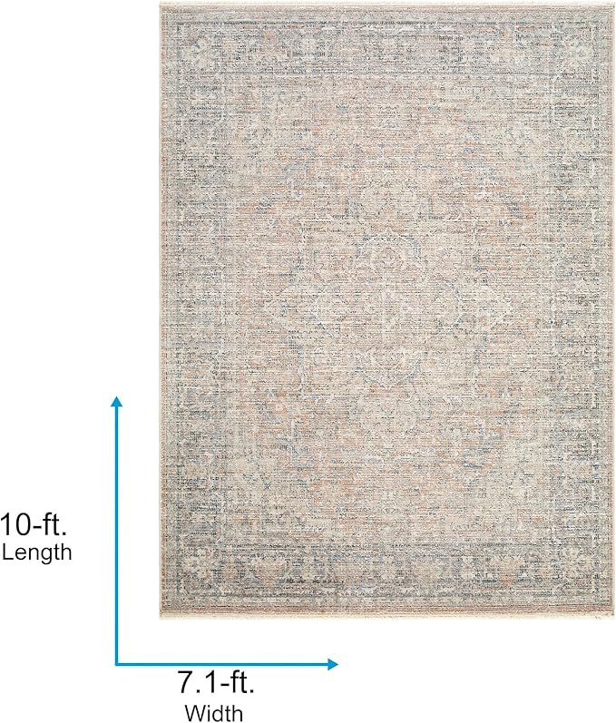 Livabliss x Galey Alix Maria Elena III Vintage Medallion Area Rug, 7'10" x 10' (8' x 10'), Brown