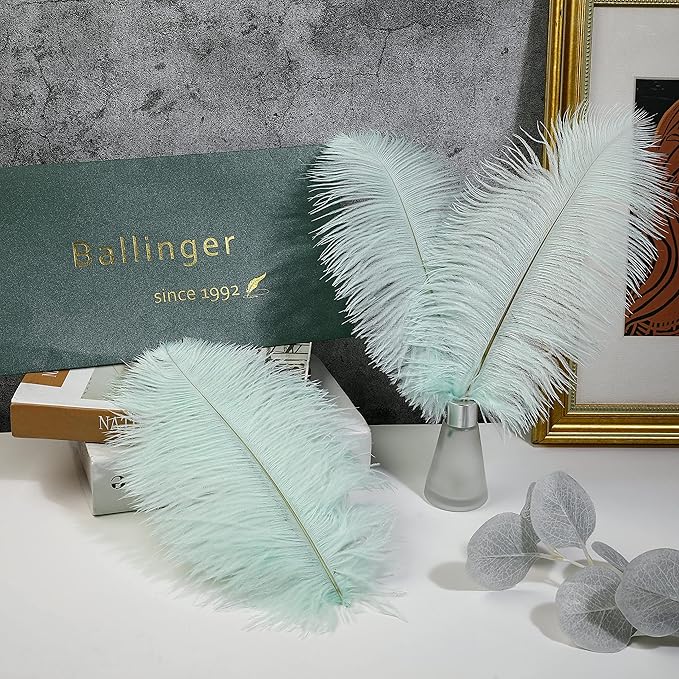 Ballinger Aqua Green Ostrich Feathers - 24pcs 10-12inch Craft Feathers Bulk for Wedding Party Centerpieces Mardi Gras Decorations and Home Decor